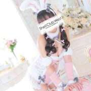 ヒメ日記 2026/02/24 23:25 投稿 前田　あおい シェルクラブ・ウエスト