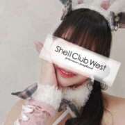 ヒメ日記 2026/03/06 14:15 投稿 前田　あおい シェルクラブ・ウエスト
