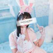 ヒメ日記 2026/04/02 12:10 投稿 前田　あおい シェルクラブ・ウエスト