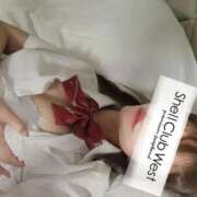 ヒメ日記 2026/04/14 09:15 投稿 前田　あおい シェルクラブ・ウエスト