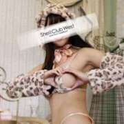 ヒメ日記 2026/04/20 09:58 投稿 前田　あおい シェルクラブ・ウエスト