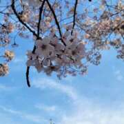 ヒメ日記 2026/04/05 09:32 投稿 ゆず 宇都宮発～正統派清楚系デリヘル！ CHERIMO（シェリモ）