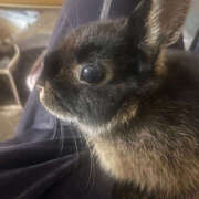 ヒメ日記 2025/11/06 19:18 投稿 すずね 恋愛マット同好会