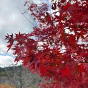 ヒメ日記 2025/12/01 18:49 投稿 三上 つばさ ホットポイント パート2