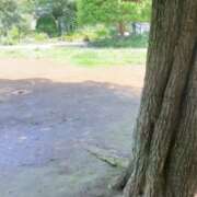 ヒメ日記 2025/08/19 15:34 投稿 めい★S級！店長激推し美女★ Bell～S級美女お姉様・人妻デリヘル～