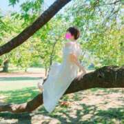 ヒメ日記 2025/09/27 07:33 投稿 めい★S級！店長激推し美女★ Bell～S級美女お姉様・人妻デリヘル～