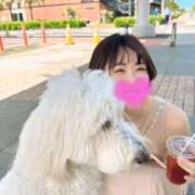 ヒメ日記 2025/10/08 07:17 投稿 めい★S級！店長激推し美女★ Bell～S級美女お姉様・人妻デリヘル～