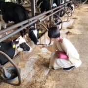 ヒメ日記 2025/10/08 09:02 投稿 めい★S級！店長激推し美女★ Bell～S級美女お姉様・人妻デリヘル～