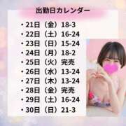 ヒメ日記 2025/11/17 19:10 投稿 めい★S級！店長激推し美女★ Bell～S級美女お姉様・人妻デリヘル～