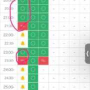 ヒメ日記 2026/01/25 18:00 投稿 めい★S級！店長激推し美女★ Bell～S級美女お姉様・人妻デリヘル～