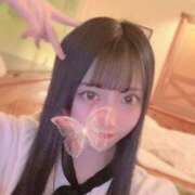 ヒメ日記 2026/01/08 13:24 投稿 小倉なぎさ ブルーバード