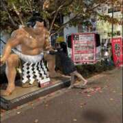 ヒメ日記 2025/12/01 15:12 投稿 ゆの 熟女総本店 日本橋ミナミエリア店