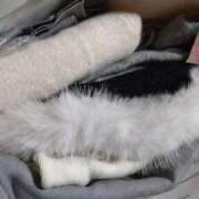 ヒメ日記 2025/12/09 00:16 投稿 ゆの 熟女総本店 日本橋ミナミエリア店