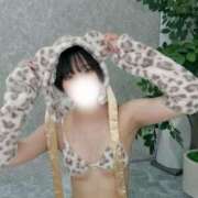 ヒメ日記 2025/11/26 22:22 投稿 神栖ゆか 渋谷ミルク