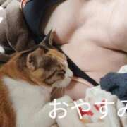 ヒメ日記 2025/11/03 01:15 投稿 紗奈（さな） 熟女の風俗最終章 大宮店