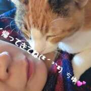 ヒメ日記 2026/08/02 16:05 投稿 紗奈（さな） 熟女の風俗最終章 大宮店