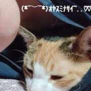 ヒメ日記 2026/09/12 23:05 投稿 紗奈（さな） 熟女の風俗最終章 大宮店