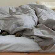 みどり (≧∇≦)b 埼玉熊谷ちゃんこ