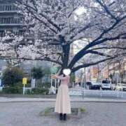 ヒメ日記 2026/04/11 08:47 投稿 ふゆ ハイブリッドエステ 禅〜ZEN〜