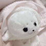 ヒメ日記 2025/11/24 07:16 投稿 さくら 新宿ハンドメイド