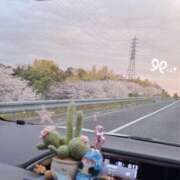 ヒメ日記 2026/04/01 15:36 投稿 小雛（こひな）Jewel看板娘 京都Jewel