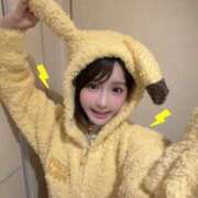 ヒメ日記 2026/09/22 01:36 投稿 小雛（こひな）Jewel看板娘 京都Jewel
