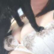 ヒメ日記 2025/11/08 19:16 投稿 まな 乳野家