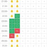 ヒメ日記 2026/01/09 13:26 投稿 りず 新潟デリヘル倶楽部