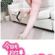 ヒメ日記 2025/08/19 20:52 投稿 くろえ 熟女の風俗最終章 新宿店