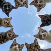 ヒメ日記 2025/09/30 20:33 投稿 くろえ 熟女の風俗最終章 新宿店