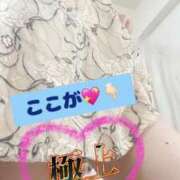 ヒメ日記 2025/09/12 23:52 投稿 くろえ 熟女の風俗最終章 池袋店