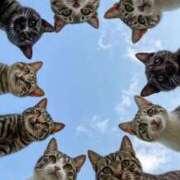 ヒメ日記 2025/10/27 11:22 投稿 くろえ 熟女の風俗最終章 池袋店