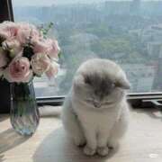 ヒメ日記 2025/10/31 00:12 投稿 くろえ 熟女の風俗最終章 池袋店