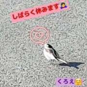 ヒメ日記 2026/02/24 12:33 投稿 くろえ 熟女の風俗最終章 池袋店