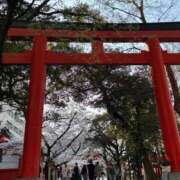 ヒメ日記 2026/04/15 09:36 投稿 みやび 出会い系人妻ネットワーク 五反田～品川編