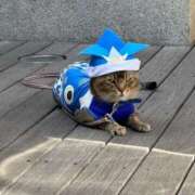 ヒメ日記 2025/10/30 20:37 投稿 平沢　みなみ NADIA京都店