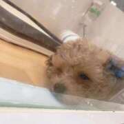 ヒメ日記 2026/02/07 08:58 投稿 平沢　みなみ NADIA京都店