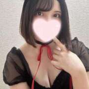 さくな 会いたいニャン🐈‍⬛🎀 ホワイトハウス