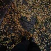 あずき 12/4 🍁 ていくぷらいど.学園