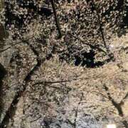 ヒメ日記 2026/04/06 08:37 投稿 あずき ていくぷらいど.学園