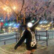 ヒメ日記 2026/04/14 02:00 投稿 あずき ていくぷらいど.学園