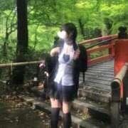 ヒメ日記 2026/05/12 11:41 投稿 あずき ていくぷらいど.学園