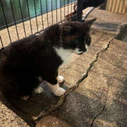 ヒメ日記 2025/09/13 08:00 投稿 りょう ハピネス＆ドリーム福岡