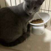 みひろ ハンドサービス専門店だにゃん😺 ハピネス＆ドリーム 松山道後温泉