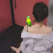 ヒメ日記 2025/09/26 13:15 投稿 きずな ハピネス＆ドリーム 松山道後温泉