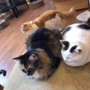 ヒメ日記 2025/09/29 16:45 投稿 きずな ハピネス＆ドリーム 松山道後温泉