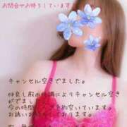 ヒメ日記 2025/09/19 13:07 投稿 美麻(みま) 人妻出逢い会 百合の園 山の手本店