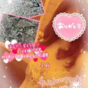 ヒメ日記 2026/04/01 09:57 投稿 美麻(みま) 人妻出逢い会 百合の園 山の手本店