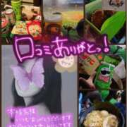 ヒメ日記 2026/07/08 12:47 投稿 美麻(みま) 人妻出逢い会 百合の園 山の手本店