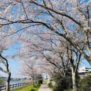 ふたば お久しぶりです！ バッドカンパニー土浦店